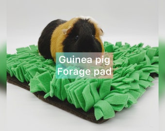 May include: A green guinea pig forage pad with a guinea pig eating from it. The pad is made of soft fabric and has a textured surface. The guinea pig is brown, black, and white.
