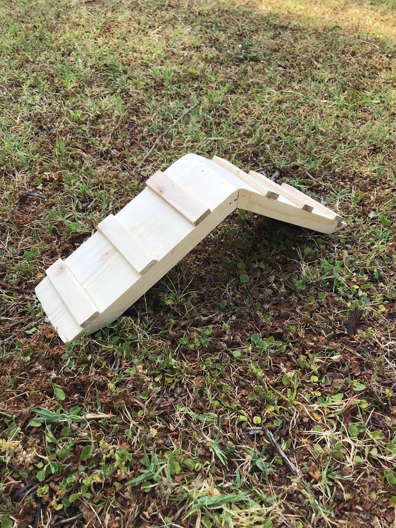 Guinea pig wood bridge Guinea pig exercise toy Guinea pig Etsy