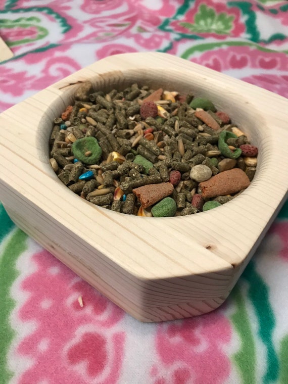 guinea pig food dish