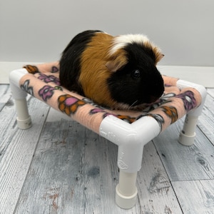 Guinea Pig Cot  | Guinea Pig Hammock | Guinea Pig Bed | Small Animal Bed
