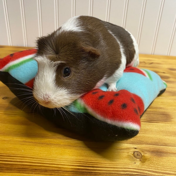 Guinea Pig Pillow Bed | Hedgehog | Small animal pillow bed | Custom