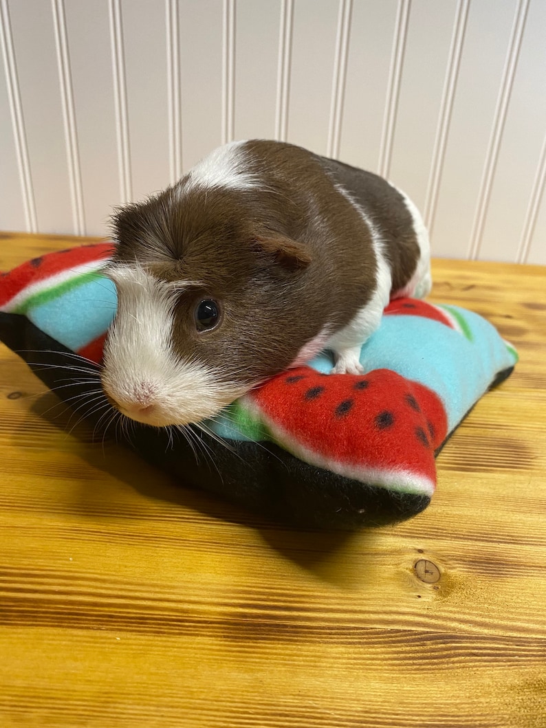 Guinea Pig Pillow Bed Hedgehog Small Animal Pillow Bed Etsy