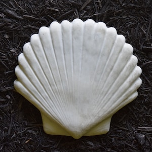 Concrete Shell Stepping Stone for garden Shell stepping stone for Beach Statue of Shell Statue for Garden Shell for housewarming gift