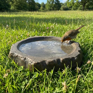 Bird Feeder and Bird bath, Unique Log Style Fairy Garden & Outdoor Patio Decor Gift image 3