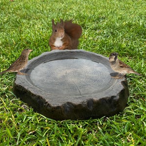 May include: A gray, tree-stump-shaped bird bath filled with water, with two small birds perched on the edge. A red squirrel is in the background. The bird bath is set on a bed of green grass.