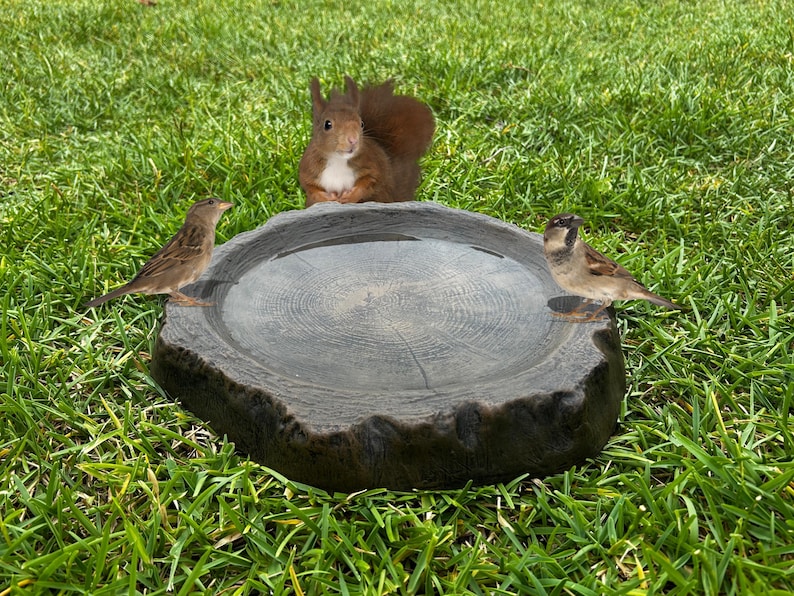 May include: A gray, tree-stump-shaped bird bath filled with water, with two small birds perched on the edge. A red squirrel is in the background. The bird bath is set on a bed of green grass.
