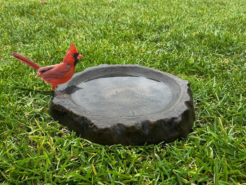 May include: A red cardinal bird stands near a dark gray, tree-stump-shaped bird bath filled with water. The bird bath is on a bed of green grass, creating a natural outdoor scene.