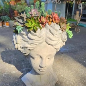 May include: A white plaster bust planter with a woman's face and a crown of succulents. The succulents are a variety of green, red, and purple.