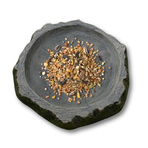May include: A gray, rustic-style bird feeder filled with a mix of seeds and grains. The feeder has a natural, tree-stump design, providing a charming and functional addition to any garden or outdoor space. The seeds are a mix of colors and textures.
