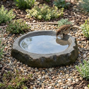 Bird Feeder and Bird bath, Unique Log Style Fairy Garden & Outdoor Patio Decor Gift