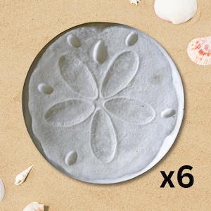 Beachy Decor: Set of Sand Dollar Inspired Stepping Stones for Outdoor Spaces