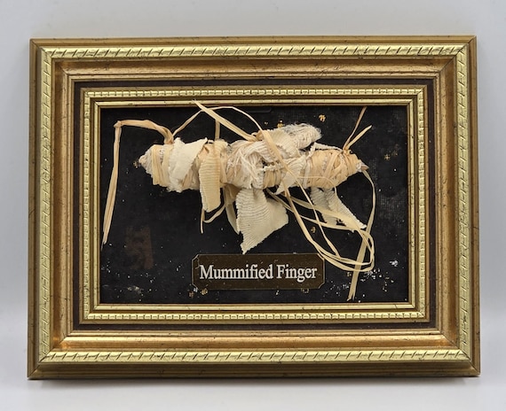 A handmade OOAK mummified finger replica, framed like a Victorian curiosity cabinet specimen — genuinely unsettling in the best way.