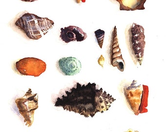 Sea Shells Watercolor Print, beach art, Nautical Painting, Nature Art, boho decor, seashell art, Seashell Watercolor Print, eclectic decor