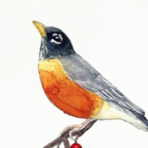 Aquarell Rotkehlchen Druck, Galeriewandkunst