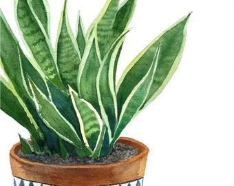 Plant art, snake plant watercolor, plant lover artwork, houseplant rat prints