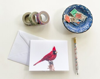 Red Cardinal Watercolor Bird Card, blank greeting card