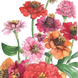 Watercolor zinnias floral Print, flower painting, Botanical Art