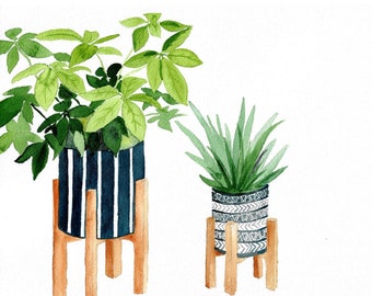 House plant art, aloe Vera painting, umbrella plant artwork, greenery art prints