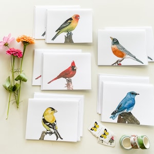 Conjunto de cartões de nota com 10 cartões de arte em aquarela de pássaros nativos, cartões em branco com pacote de variedades de arte de pássaros