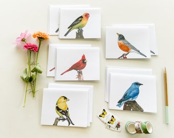 Notecard Set of 10, Native Birds Watercolor Art Cards, Blank Greeting Cards with Bird Art Variety pack