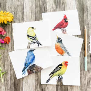 Conjunto de 5 cartões postais, conjunto de pássaros em aquarela, conjunto de mini estampas, arte da natureza, papel de carta de ornitologia