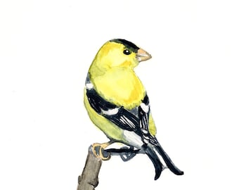 Watercolor Goldfinch Print, bird painting, yellow bird watercolor, state birds, native birds, boho decor, eclectic farmhouse, gallery wall