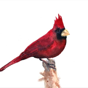 Watercolor Cardinal Print, Red Bird Art