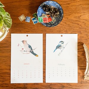 Calendario 2026-2027 con uccelli ad acquerello, formato verticale 5,5 x 8,5 pollici. immagine 9