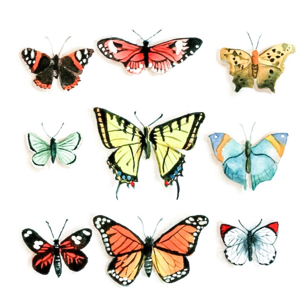 Boho Insects Butterflies Watercolor Print, Boho Insect Specimen Art - Etsy