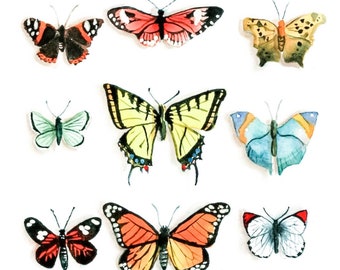Vlinders aquarel print, vlinderkunst, kleurrijke natuurschilderij, insectenspecimenkunst, wetenschappelijke kunst, eclectisch interieur, boho decor