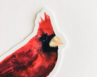 Adesivos De Pássaros Cardeais Vermelhos - Pacote Com 50 Unidades à Prova D'água