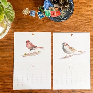 Calendario 2026-2027 con uccelli ad acquerello, formato verticale 5,5 x 8,5 pollici. immagine 8