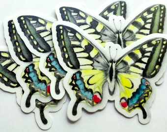 Butterfly Sticker, vinyl Swallowtail butterfly watercolor sticker