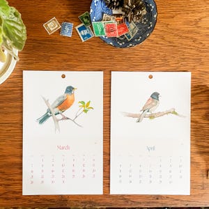 Calendario 2026-2027 con uccelli ad acquerello, formato verticale 5,5 x 8,5 pollici. immagine 4