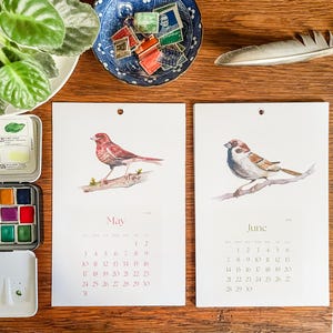 Pu&ograve; includere: Pagine di calendario ad acquerello con uccelli per maggio e giugno. La pagina di maggio presenta un uccello rosso posato su un ramo, e quella di giugno, un uccello marrone. Le pagine sono su una superficie di legno.