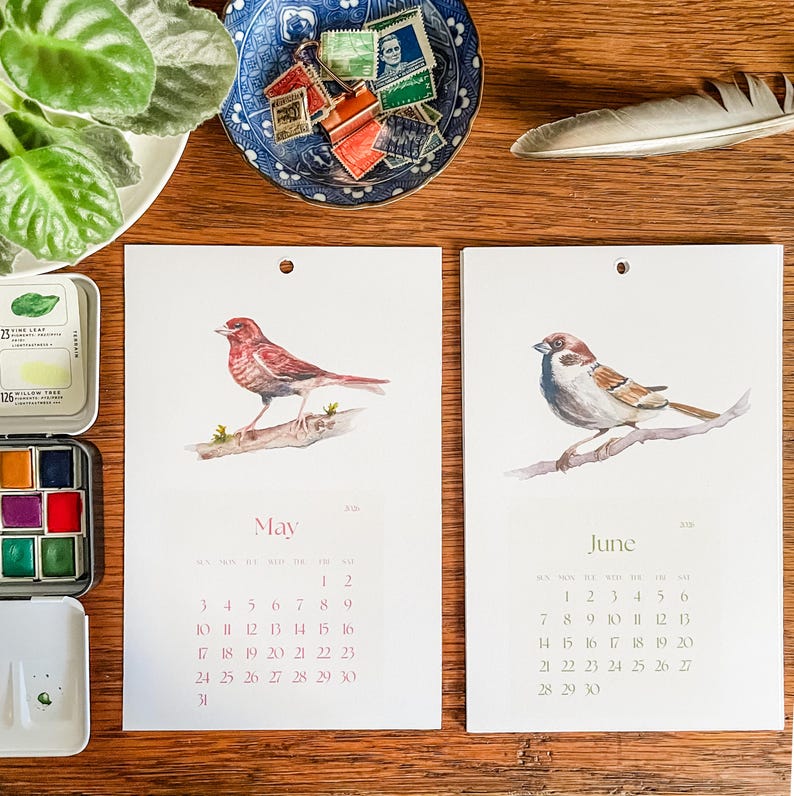 Pu&ograve; includere: Pagine di calendario ad acquerello con uccelli per maggio e giugno. La pagina di maggio presenta un uccello rosso posato su un ramo, e quella di giugno, un uccello marrone. Le pagine sono su una superficie di legno.