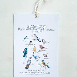 Calendario 2026-2027 con uccelli ad acquerello, formato verticale 5,5 x 8,5 pollici. immagine 14