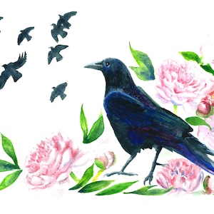Crows in Pink Peonies Watercolor Print