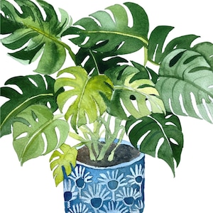 Arte vegetal Monstera, estampados de acuarela de plantas domésticas