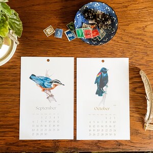 Calendario 2026-2027 con uccelli ad acquerello, formato verticale 5,5 x 8,5 pollici. immagine 7