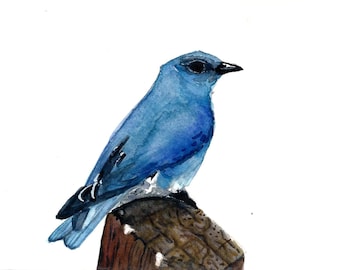 Watercolor Mountain Bluebird Print: Boho Nature Bird Art
