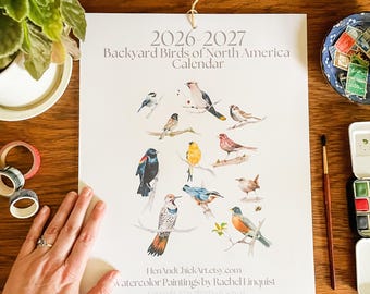 Grande calendario 2026-2027 con uccelli ad acquerello, formato 11 x 14 pollici.