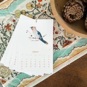 Calendario 2026-2027 con uccelli ad acquerello, formato verticale 5,5 x 8,5 pollici. immagine 12