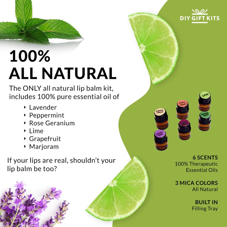 DIY Lip Balm Kit Deluxe 77piece Set With FILLING TRAY Etsy