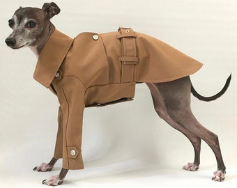 Italian Greyhound apparel;trench coat