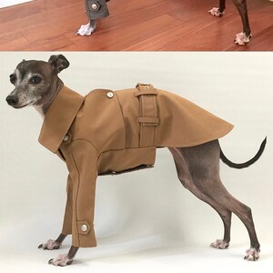 Italian Greyhound apparel;trench coat