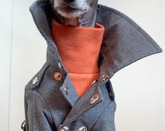 Italian Greyhound apparel;trench coat
