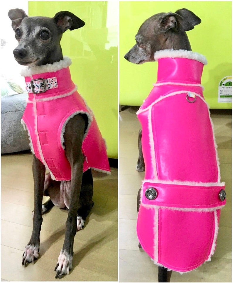 Italian Greyhound apparelFaux suede vest Etsy
