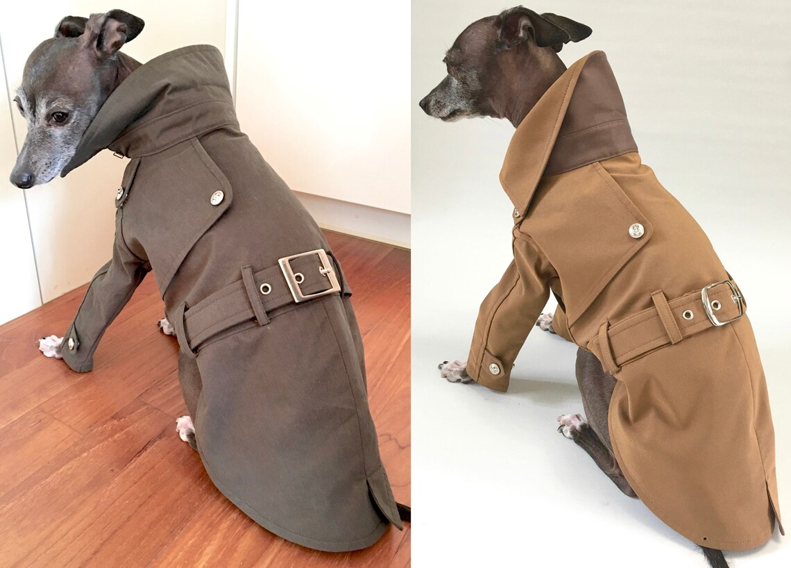 Italian Greyhound appareltrench coat Etsy