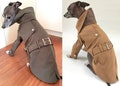 Italian Greyhound apparel;trench coat product logo